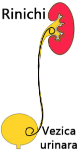 sonda-jj-urologul-tau